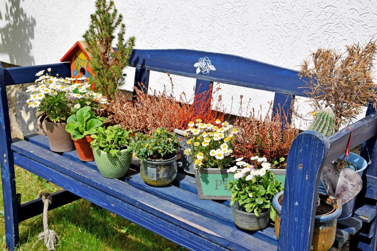 Ferienwohnungen Familie Looks Klein Zicker Ngoại thất bức ảnh
